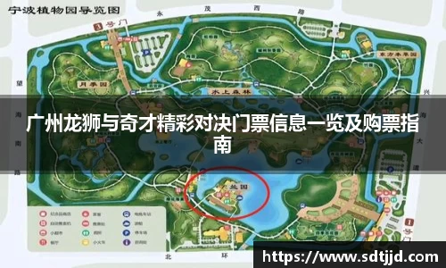 广州龙狮与奇才精彩对决门票信息一览及购票指南